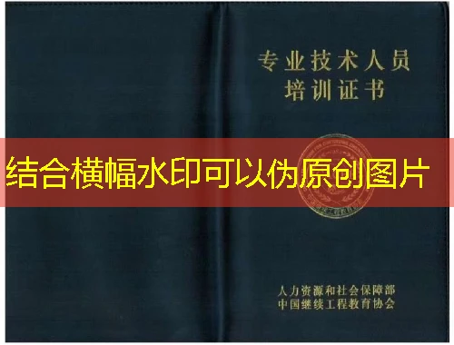 思纽平台课程快进方法——解锁高效学习的秘密武器