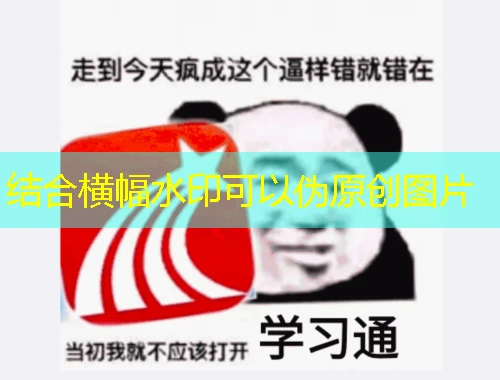 (东财会计)重庆会计继续教育- (单答题)网课刷课脚本攻略 (东财会计)重庆会计继续教育- (单答题)网课刷课脚本攻略