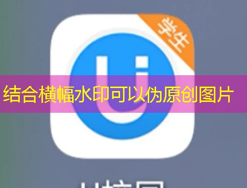 教师发展在线攻略:内蒙古大学网课高效通关指南