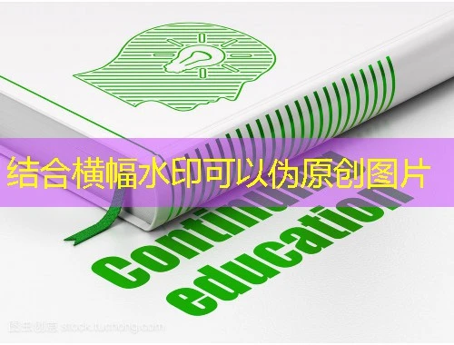 新疆干部网络学院-2024年度必修课程全学xjgbzx.cn网课快速通关指南 新疆干部网络学院-2024年度必修课程全学xjgbzx.cn网课快速通关指南