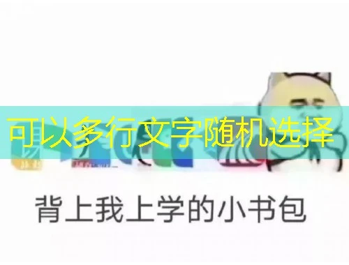 河南药师网专业课网课这样看才高效!