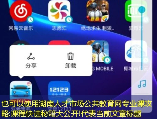 湖南人才市场公共教育网专业课攻略:课程快进秘籍大公开!
