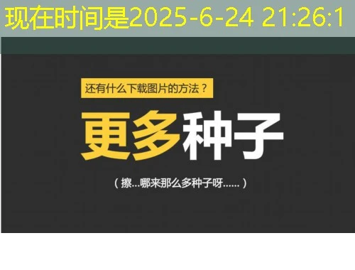 聊城市职业技能网络培训平台网课如何快速看完?