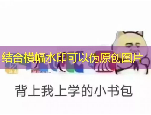 新资源库(zyk)【全包】网课怎么快速看完