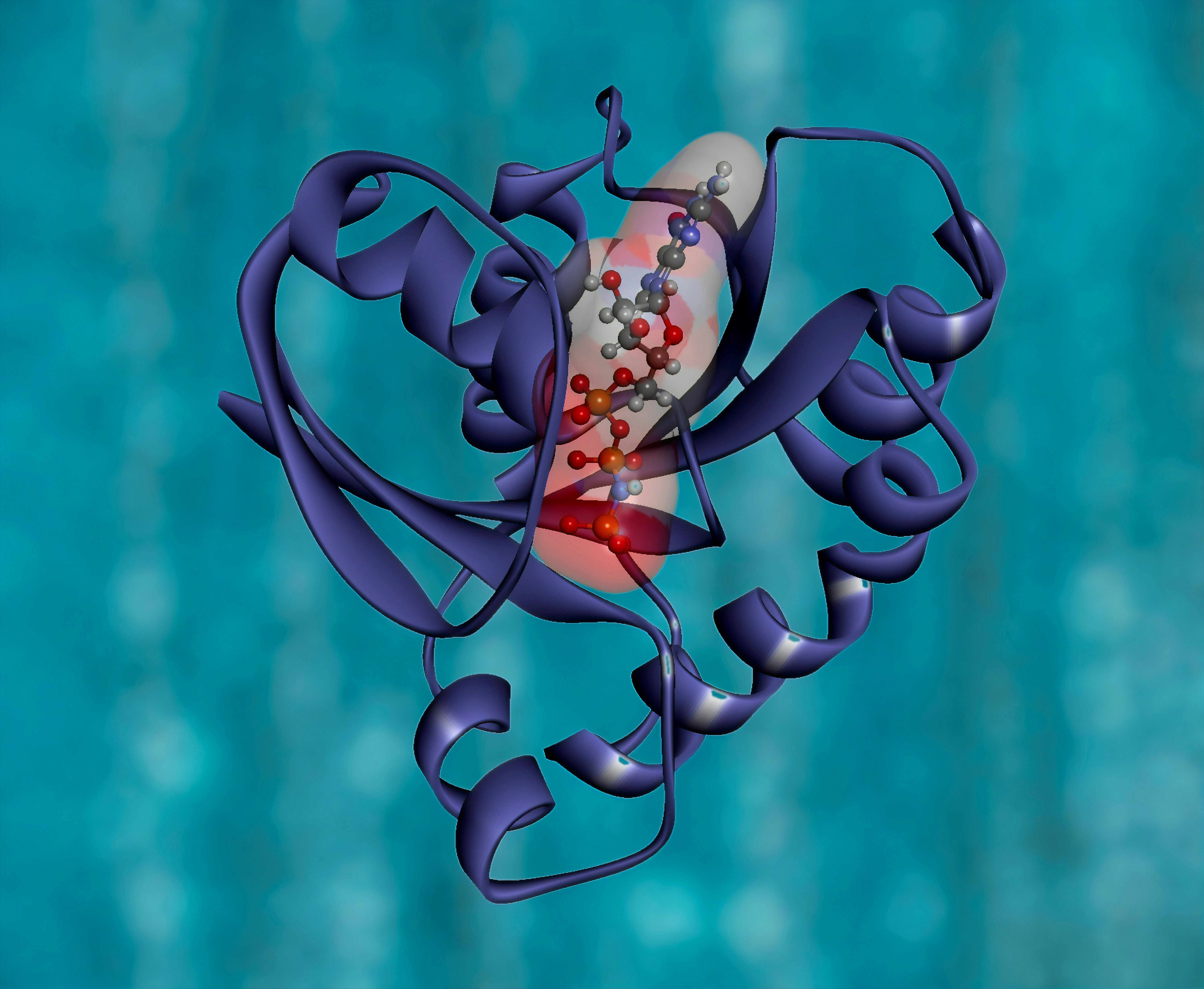 2022执业药师公需科目答案权威解析与备考重点全攻略