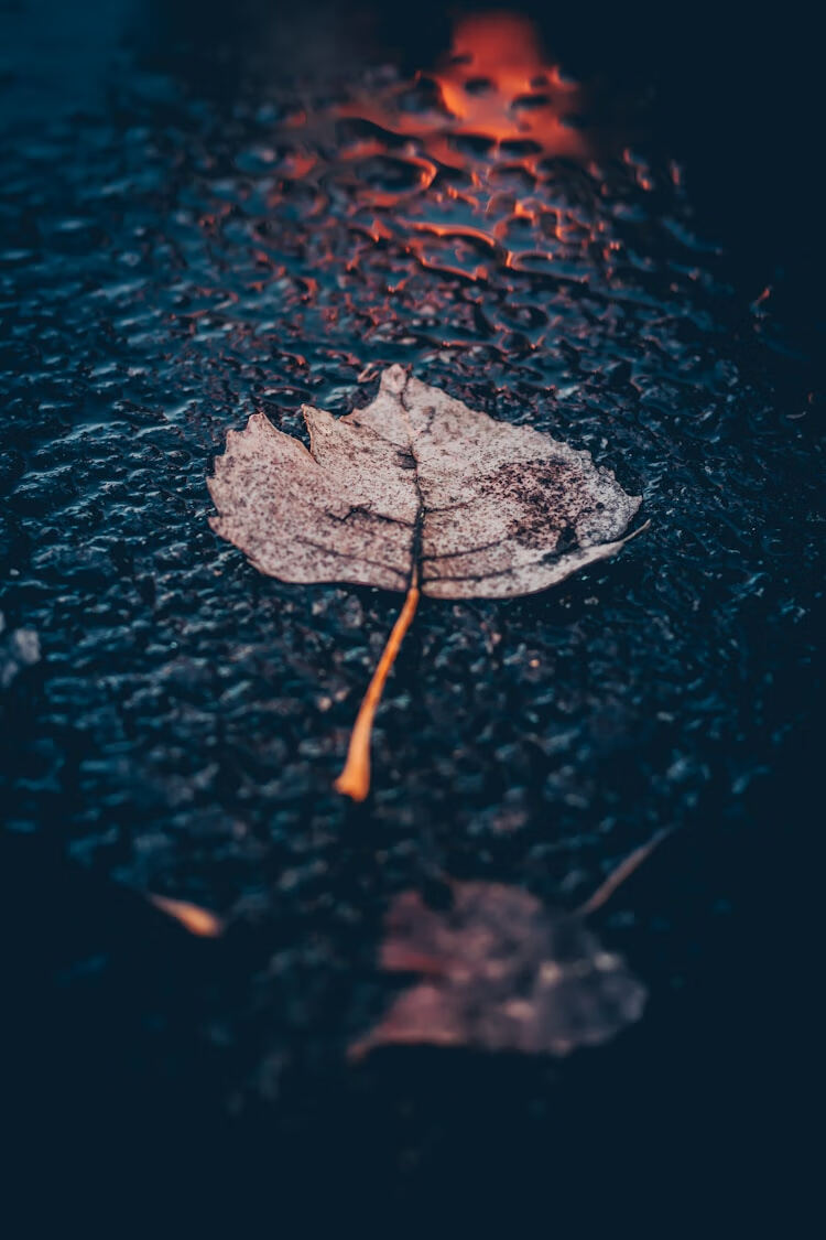 “雨课堂答案查询全攻略:快速获取课程题库的实用技巧”