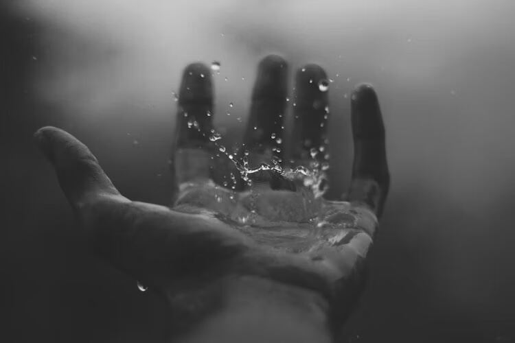 “雨课堂答案查询全攻略:快速获取课程题库的实用技巧”