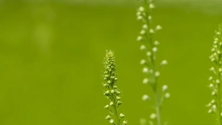 2024公需课答案绿色低碳专题权威解析与备考指南