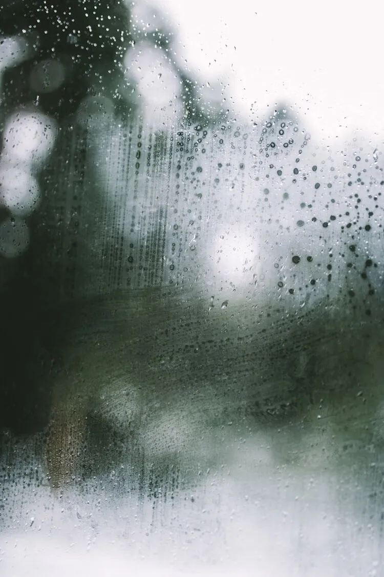 一文掌握雨课堂怎么开启自动模式:详细步骤与操作指南