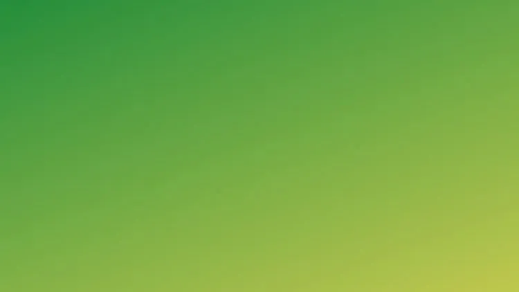 2024公需课答案绿色低碳专题权威解析与备考指南