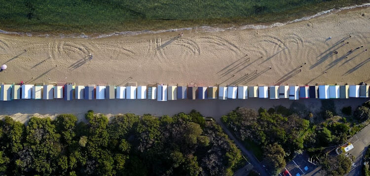 2022公需课继续教育内容：政策法规与职业素养必修要点解析