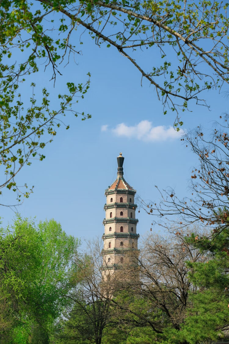 2023年河北省公需课学习指南与考核要求解析