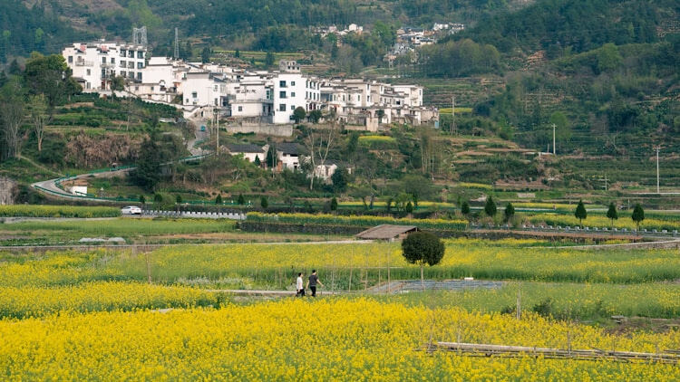 2024安徽公需课全部答案速查指南与备考必备知识点解析