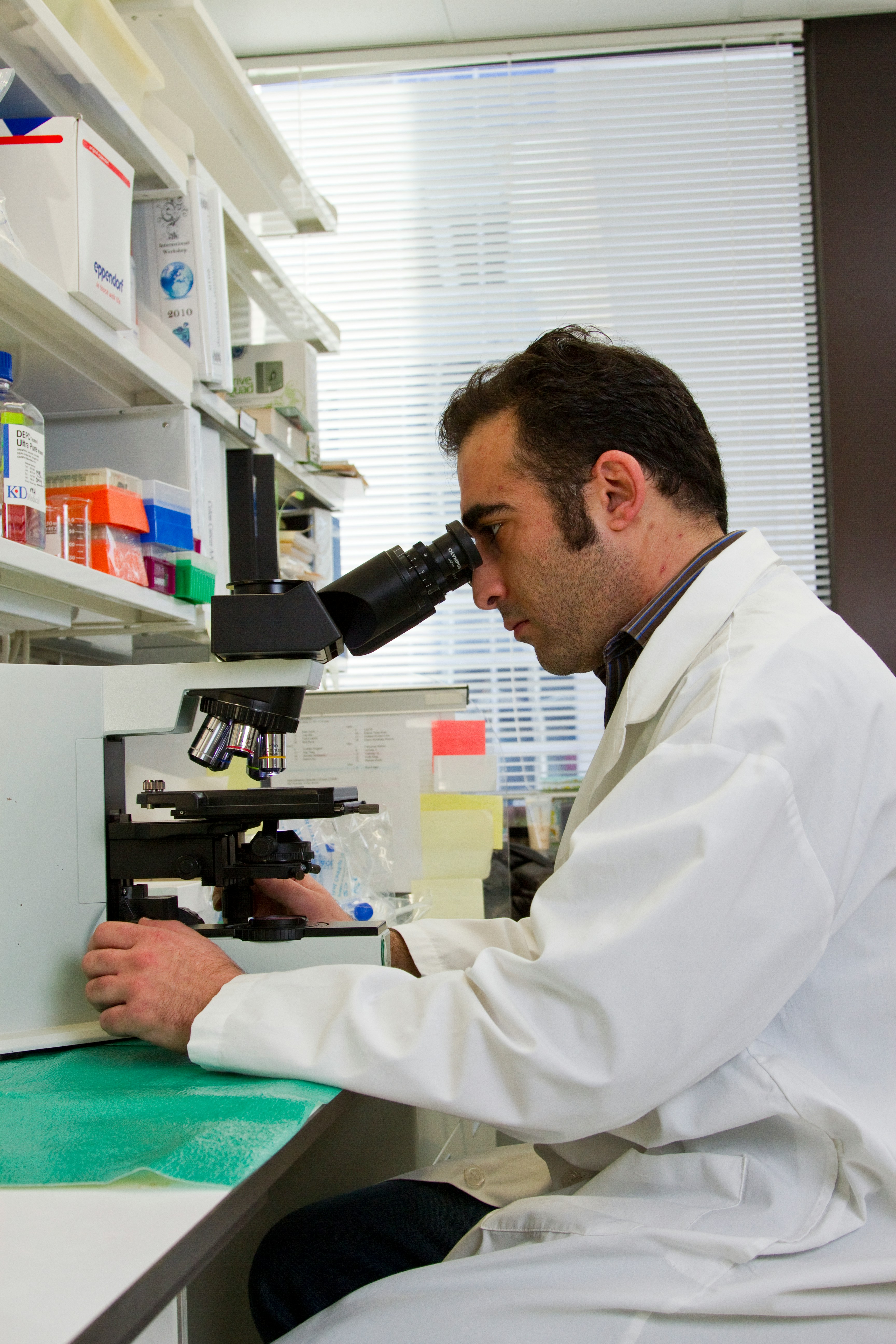 2022执业药师公需科目答案权威解析与备考重点全攻略