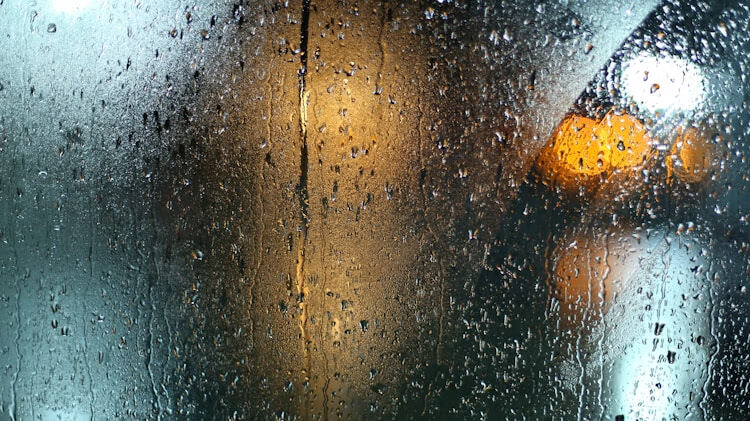yuu0027k雨课堂