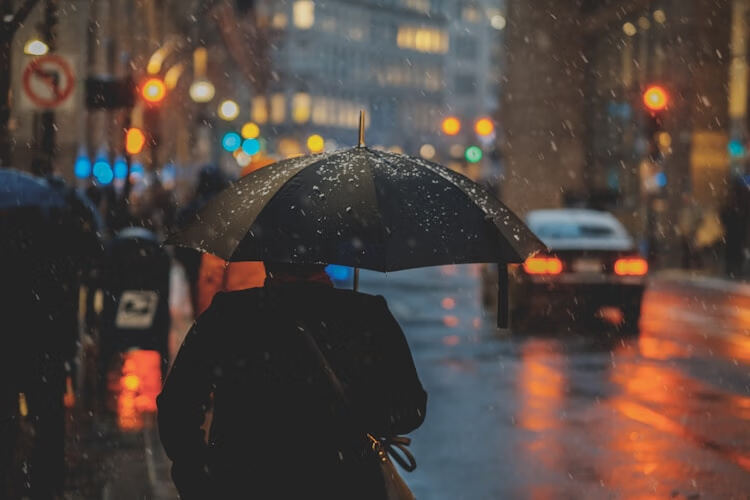 yuu0027k雨课堂