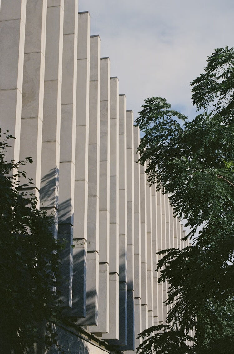 2022公需课继续教育内容：政策法规与职业素养必修要点解析