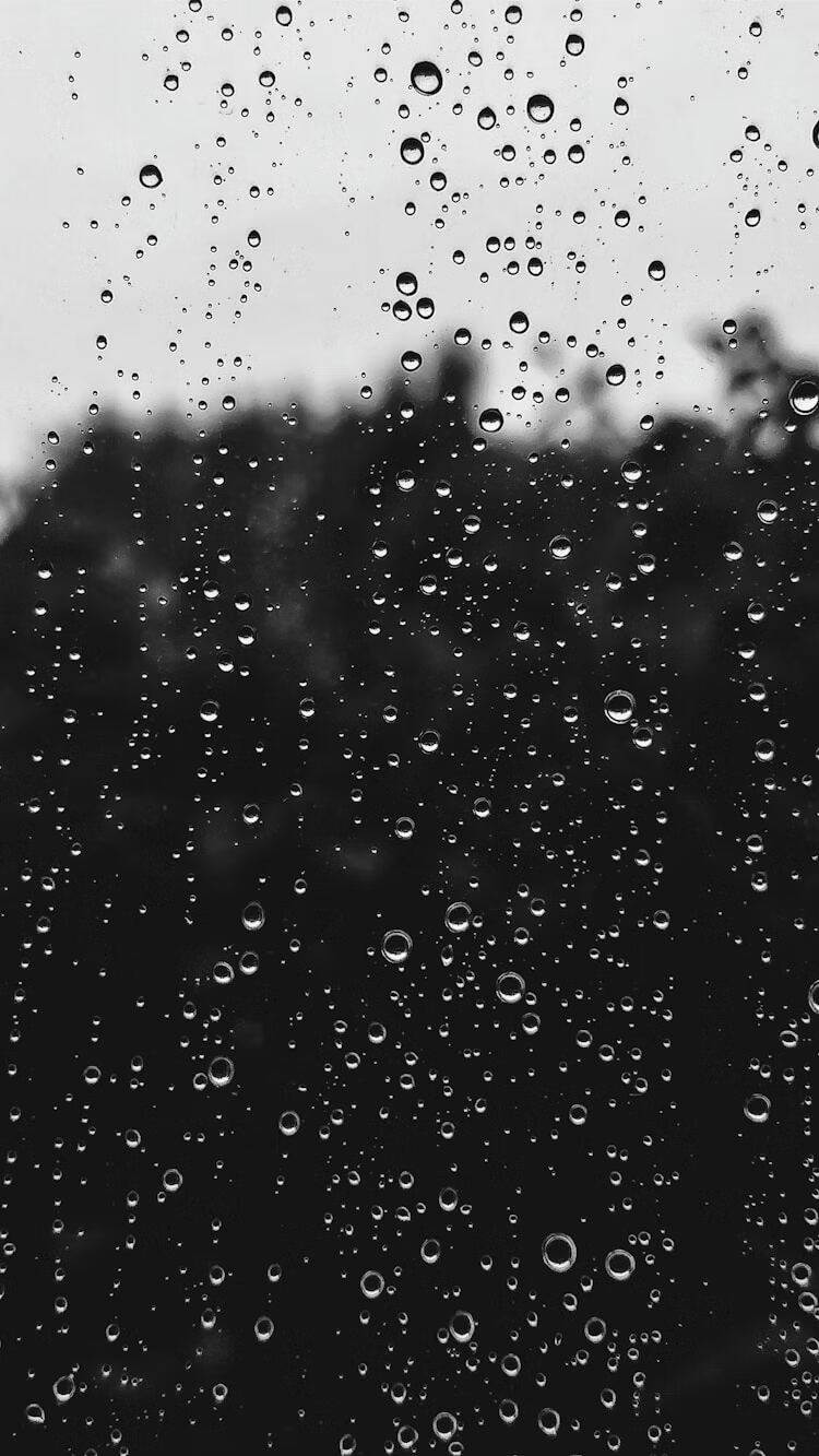 yuu0027k雨课堂