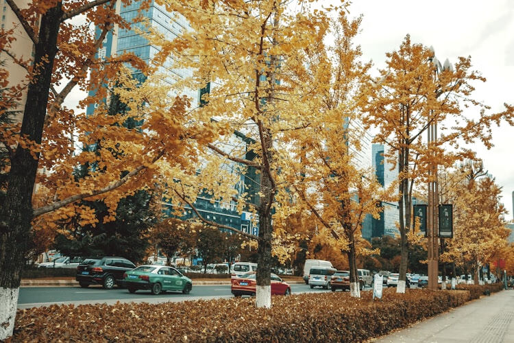 【官方指南】贵州公需科目学习入口最新官网登录路径及操作流程解析