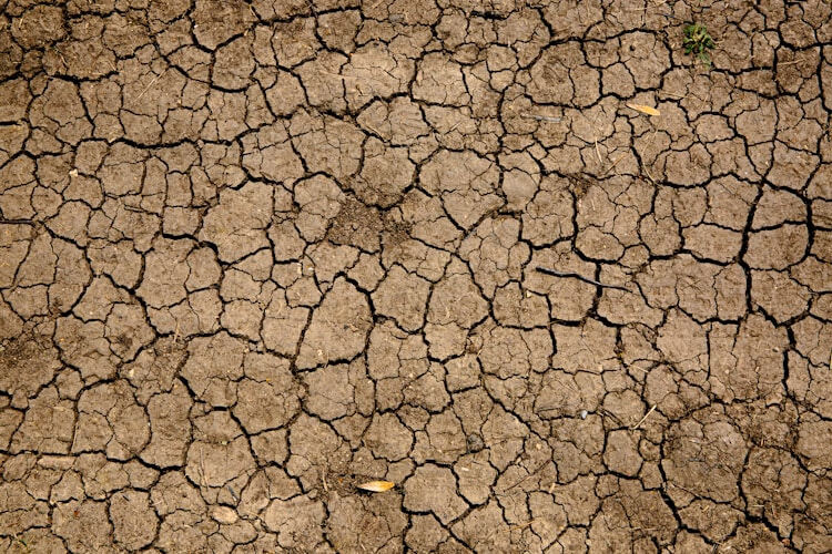 “怎么破解雨课堂动态码?动态验证机制破解方法与技术解析”