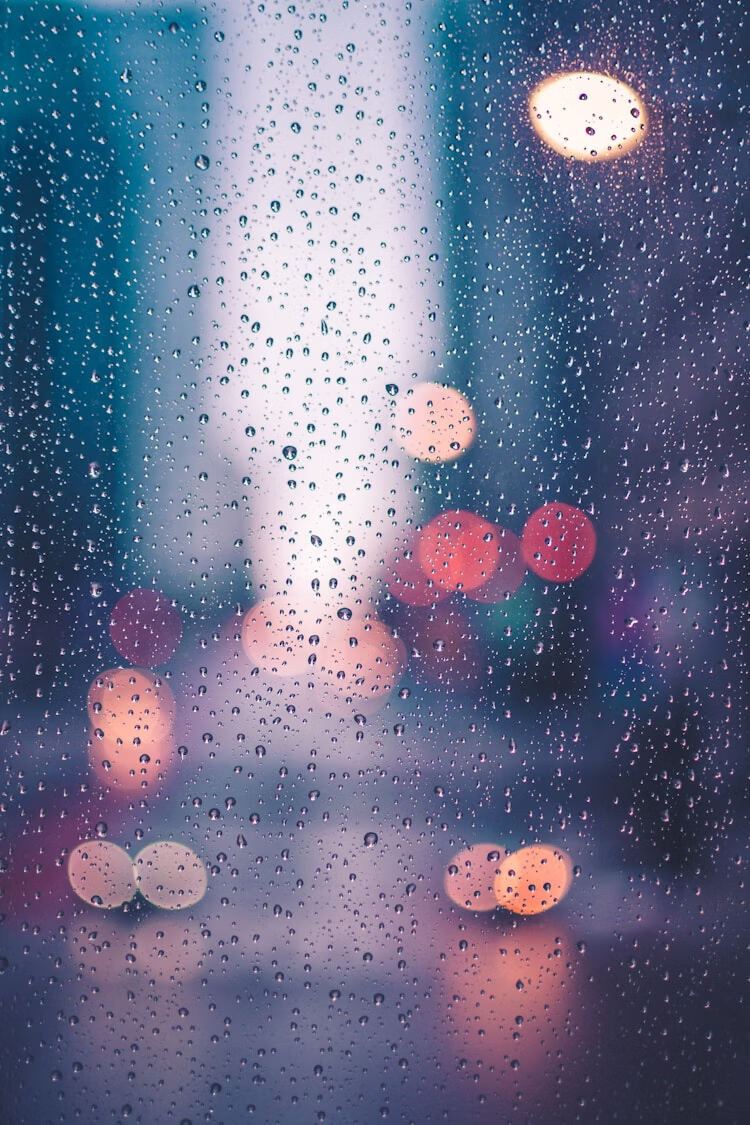 yuu0027k雨课堂