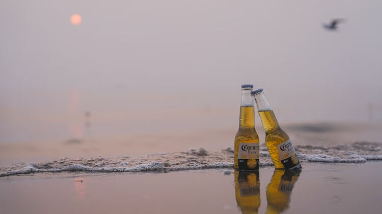 2023河北公需课在哪里学？官方学习平台入口与选课指南