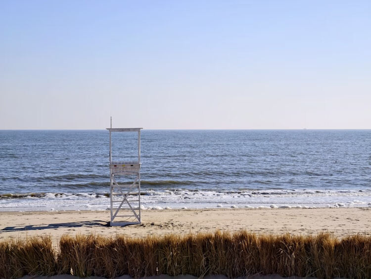 2023河北公需课在哪里学？官方学习平台入口与选课指南