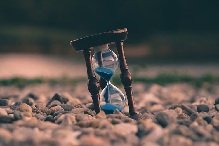 专业技术教育专业课可以补学吗?补修途径与政策详解